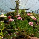 현대인-공존 이미지