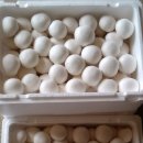 용복 농장 이미지