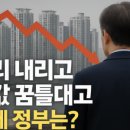 닥터부동산 이미지