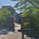 유한회사 명가 | [일상탐험 EP 325]-부산큐슈여행 2일차: 우레시노사케 명가 토라노코 이데 본점(虎之児井手本店)과 만나다