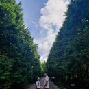 제동농장 이미지