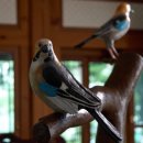 디자인메이지미술학원 이미지