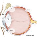 한강동물병원 이미지