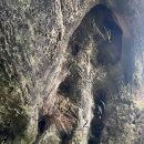 Leura Blue Mts N. P. 28 September 2026 이미지