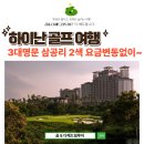다해드림투어