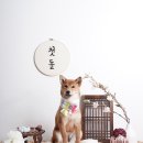 멍데이 이미지