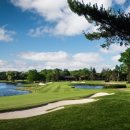 피엔에스 이미지