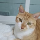 지산연합정형외과의원 이미지