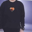 우리개 우리냥이 이미지