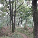월드사진실 - 연제구 세병로 39 | 월드사진실