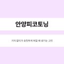 안양톤즈의원 | 안양피코토닝, 기미·잡티가 흐릿하게 퍼질 때 생기는 고민