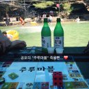 백구상회 네이버블로그