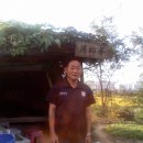 달빛농장 이미지