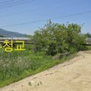 참샘교 이미지