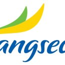 평화레저타운 이미지