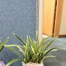 상남동279 이미지