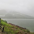 친구가 왔다. 이미지