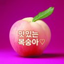 능주농협 하나로마트 원지점 네이버블로그