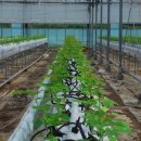 오수농장 이미지