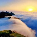 천상운집 이미지