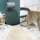 성진동물병원 이미지