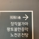 세종스파텔 이미지