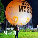 달현 | 서울 놀곳 여의도 놀거리 서울달 열기구 예약 가격 할인 야경 데이트 후기