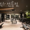 하이랙스 이미지