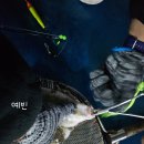 피쉬실내바다낚시터 이미지
