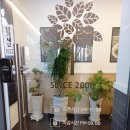 국수나무 비산점 이미지