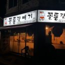 꼴통갈매기