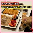 따라 애견학교 | 어린이대공원 건대 카페 샬롬｜길거리 붕어빵 실타래빙수 내돈내산 애견동반 후기