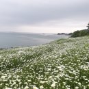 마실길 경향신문