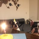 도그미뇽 이미지