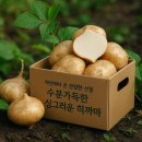 얌 - 양평군 시민로 6 | 얌