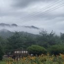 사발소캠핑장 네이버블로그