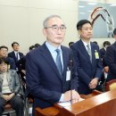 손통신 뉴시스