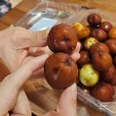 만점농원 | 보은생대추 장수대추농원 햇사과대추 후기