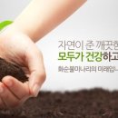 화순불미나리(주) 이미지