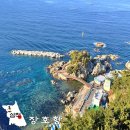 어촌마을1호점 | 삼척 장호항 겨울 여행 당일치기 코스 추천 레일바이크 케이블카