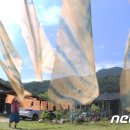 염색하기좋은날 이미지