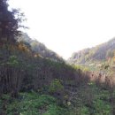 하늘샘농장 이미지