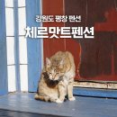 체르맛트 네이버블로그