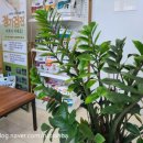 남산동물병원 이미지