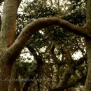 사랑나무민박 이미지