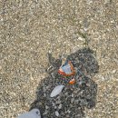 서해식당 이미지