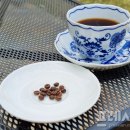 더커피 티스토리