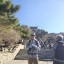 중국 태산 이미지