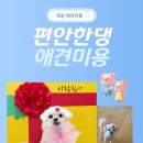 편안한댕 네이버블로그