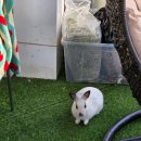 오전지구대 | 천호동대형카페, 강동 24시카페/한강카페 비트카페라운지 천호점 솔직 방문 후기